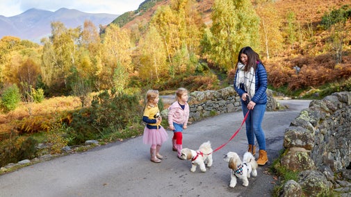 A woman with two children and two small dogs on a small stone bridge in Borrowdale and Derwent Water, Cumbria